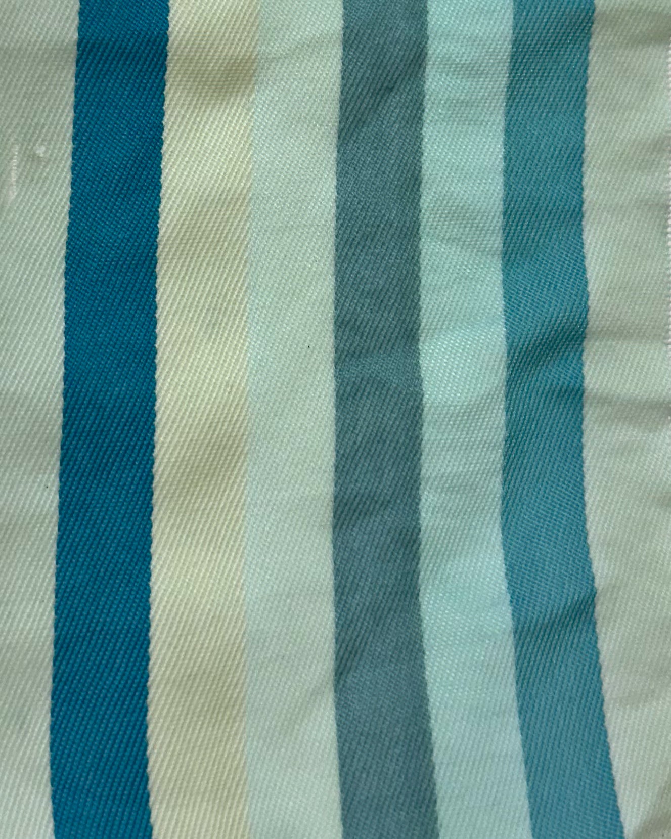 藍の生葉染めワークショップ ¥6,600【現地決済】