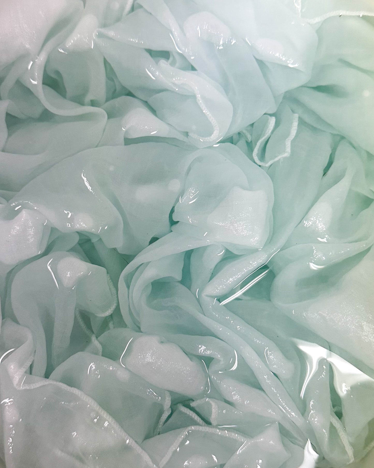 藍の生葉染めワークショップ　¥6,600【現地決済】