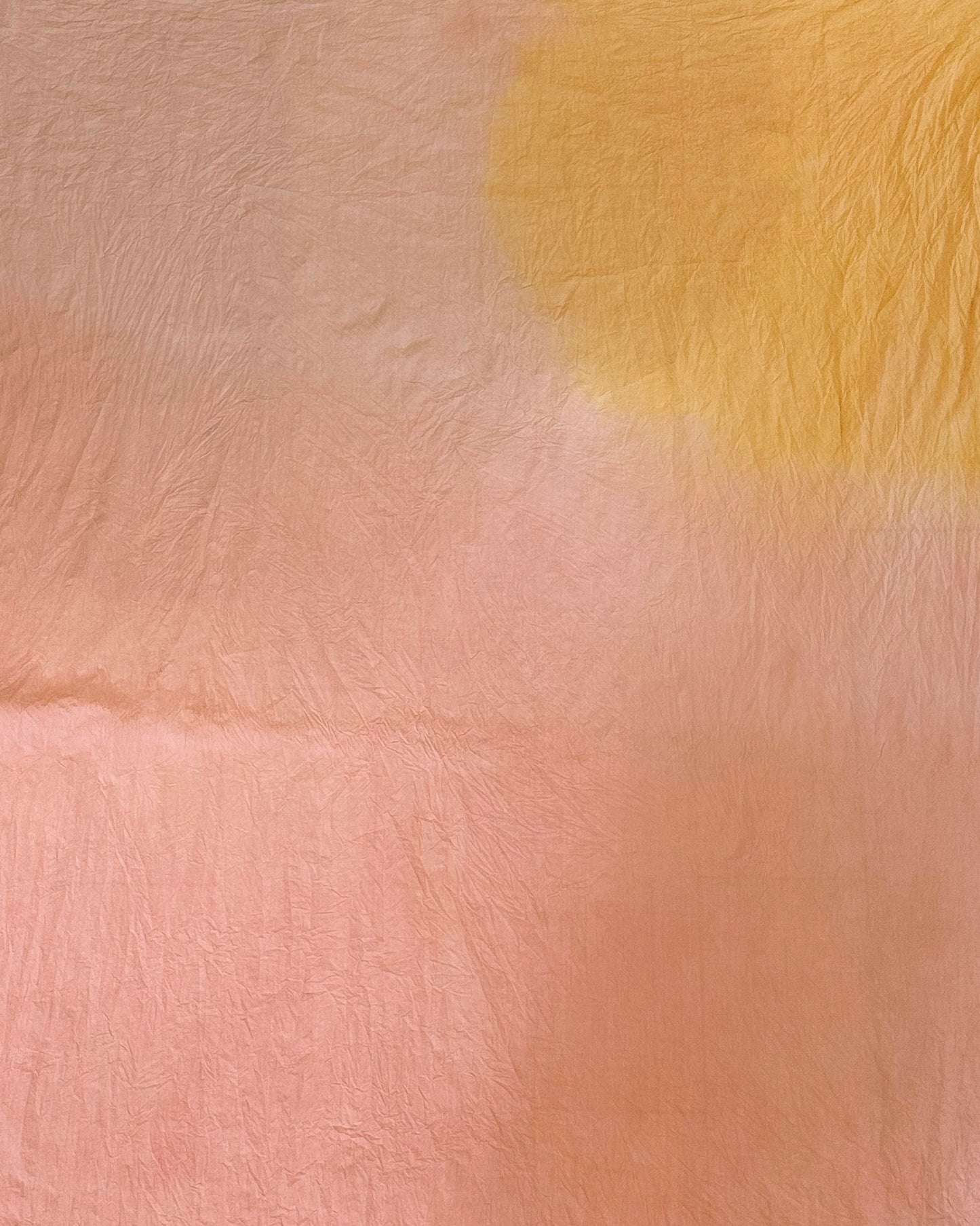 グラデーションに染める 草木染めワークショップ　¥7,700【現地決済】