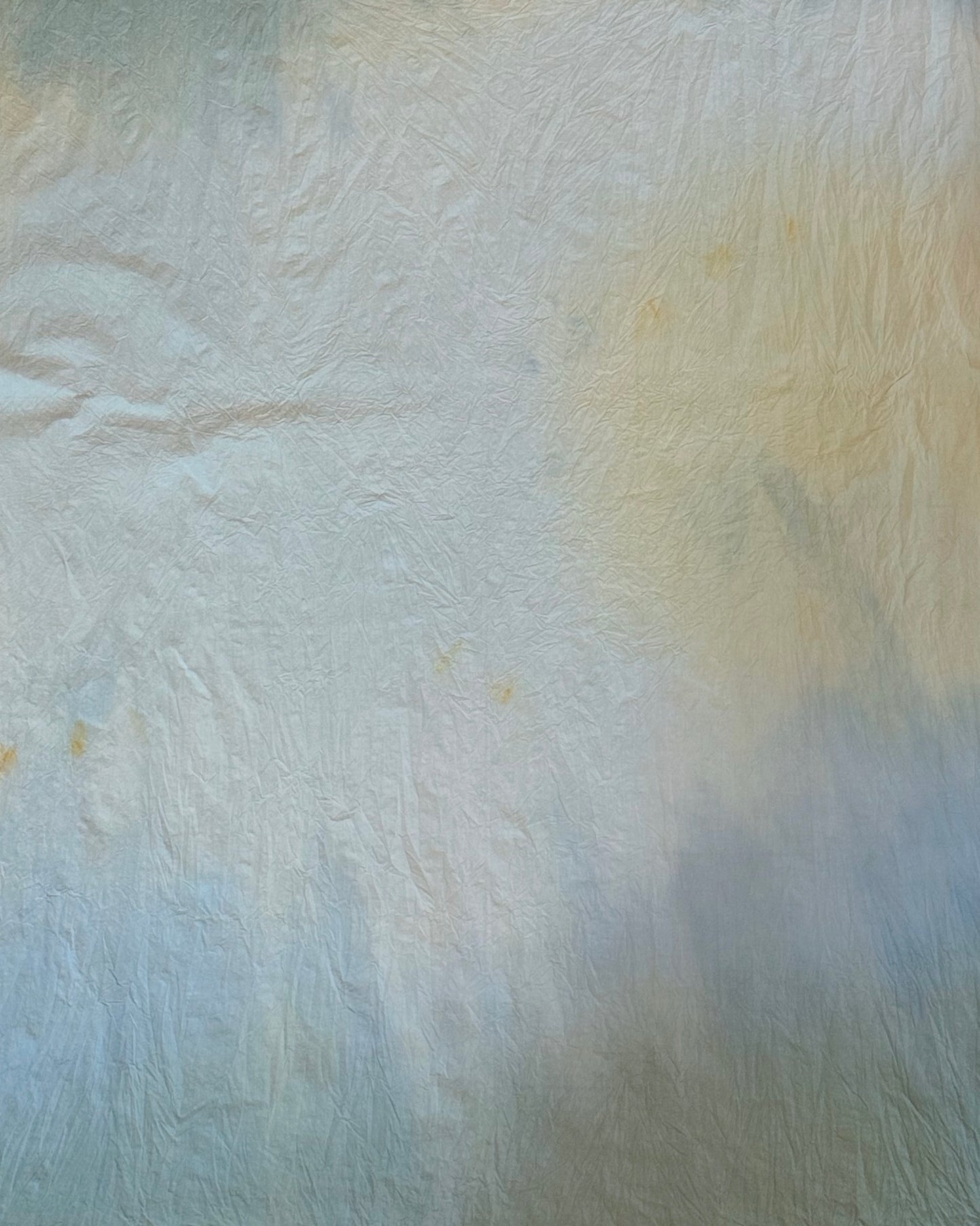 グラデーションに染める 草木染めワークショップ　¥7,700【現地決済】