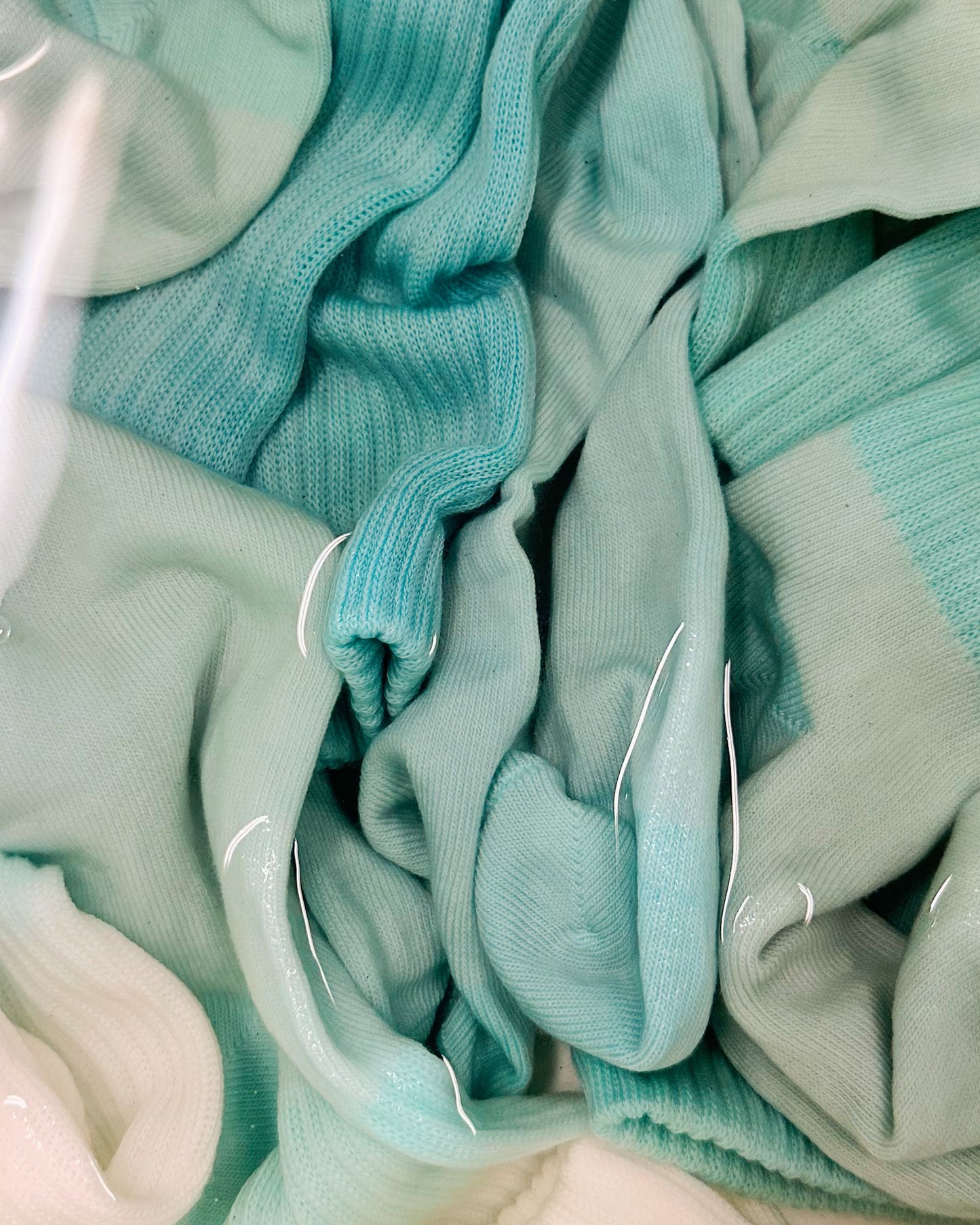 藍の生葉染めワークショップ　¥6,600【現地決済】