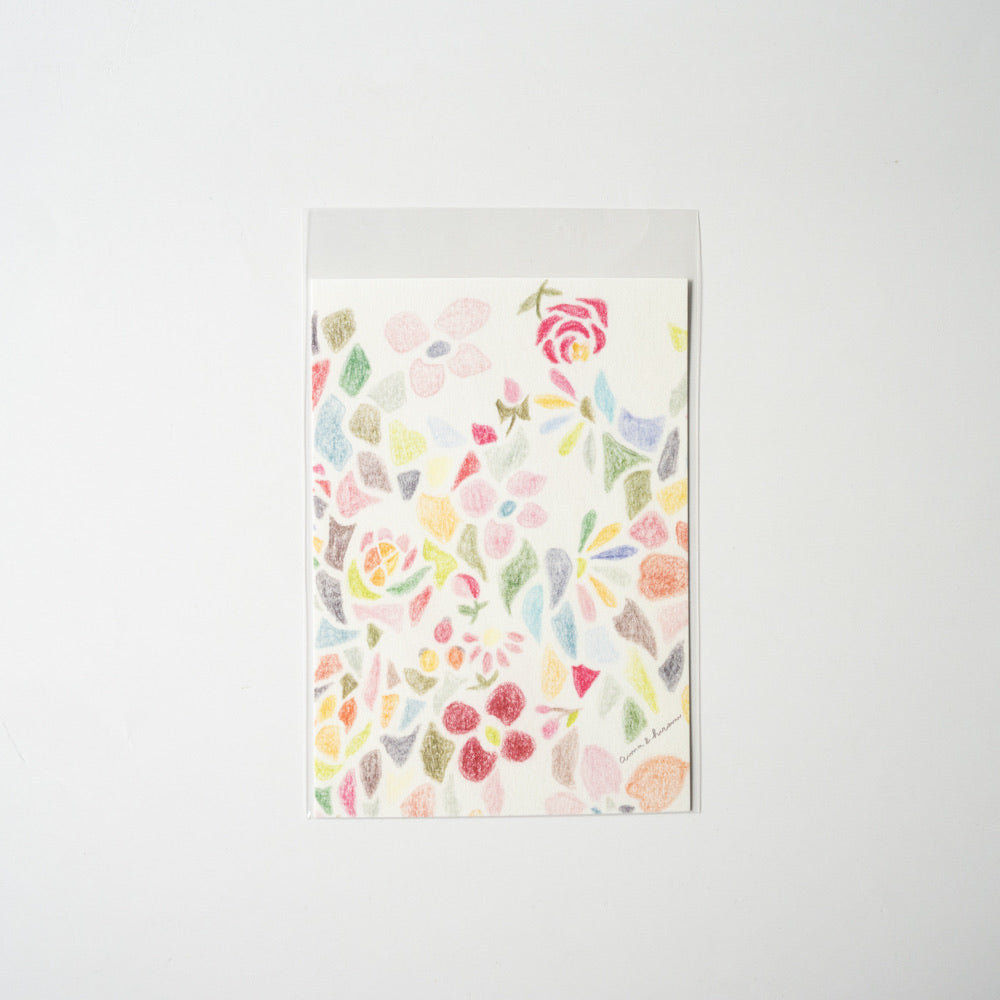 Postcard - Flower Colour pencil - B