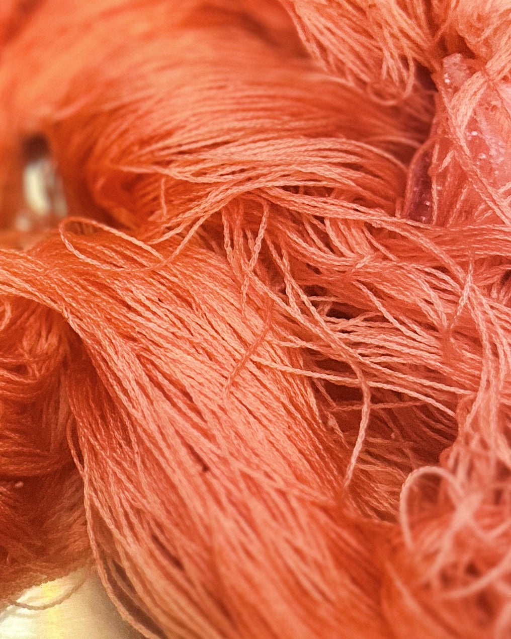 グラデーションに染める 草木染めワークショップ　¥7,700【現地決済】