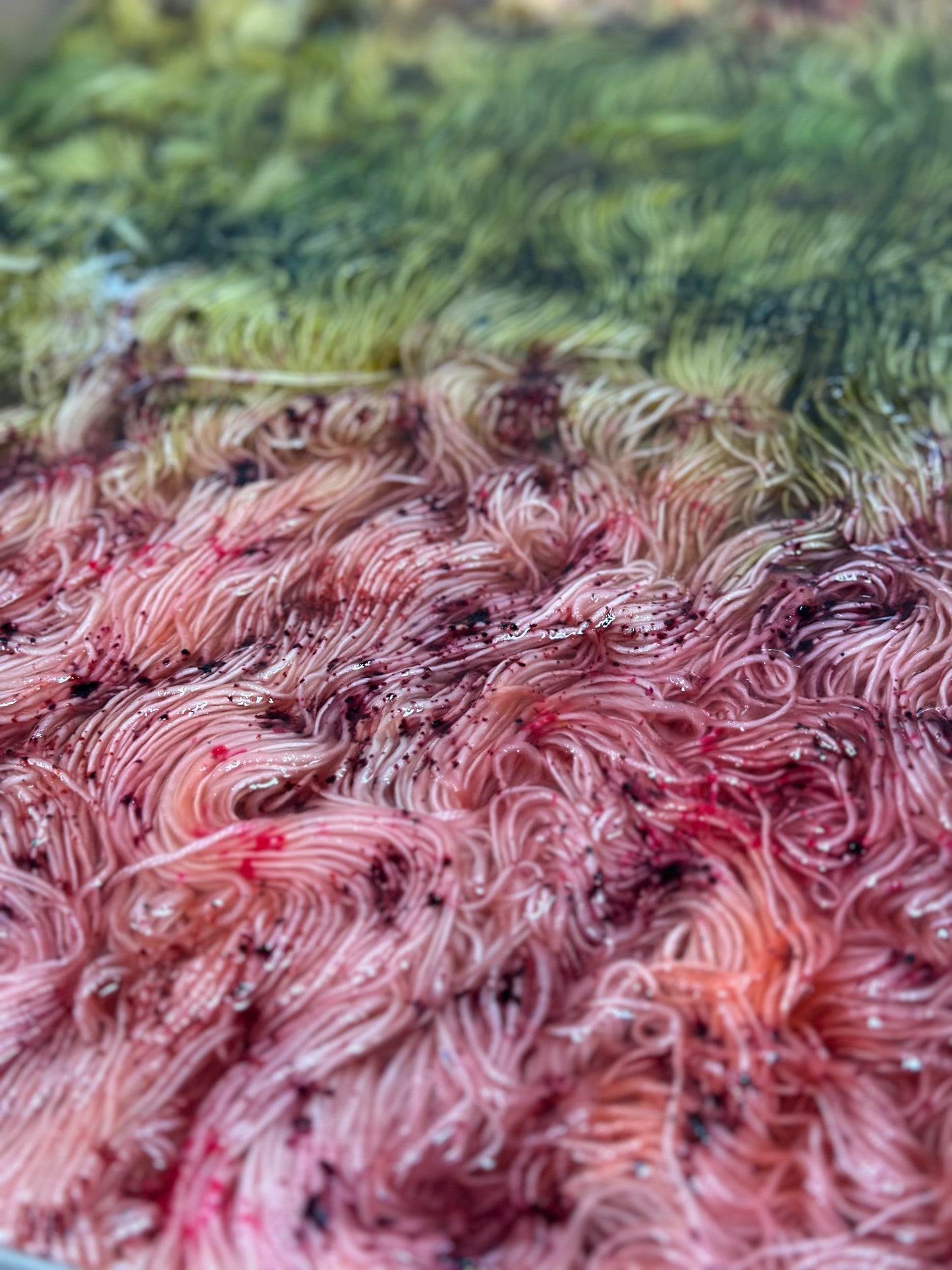 Merino Singles 野花 - Wild flower