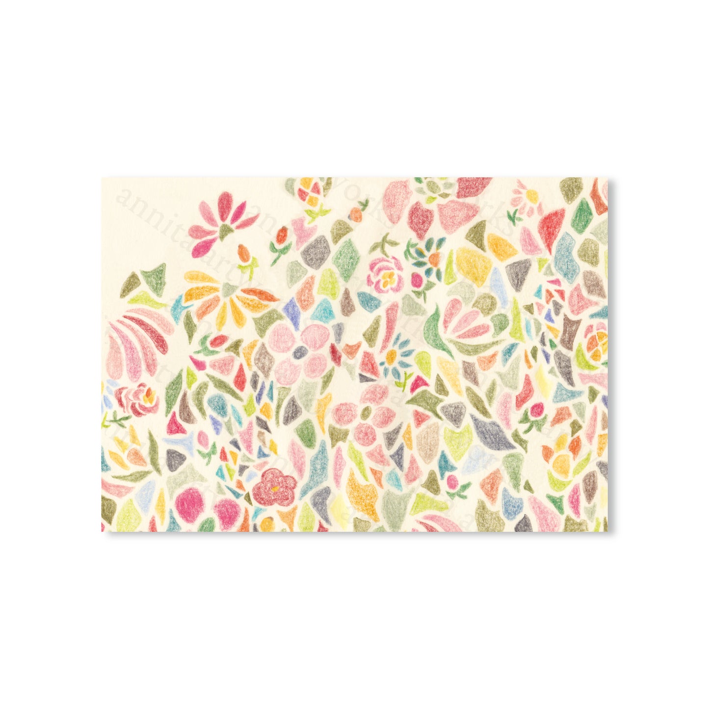 Postcard - Flower Colour pencil - A